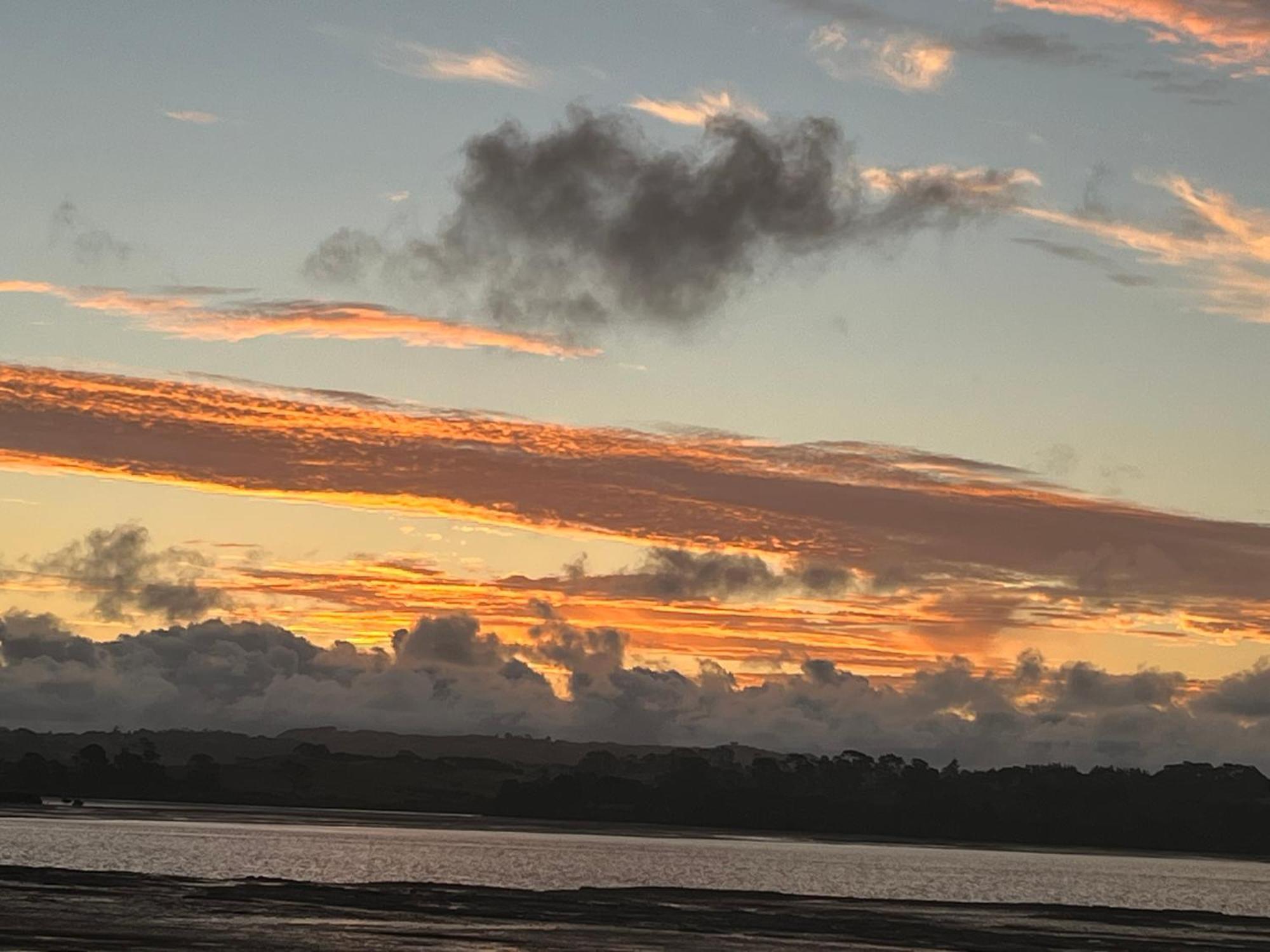 Absolute Waterfront Serenity Near Auckland Clarks Beach المظهر الخارجي الصورة